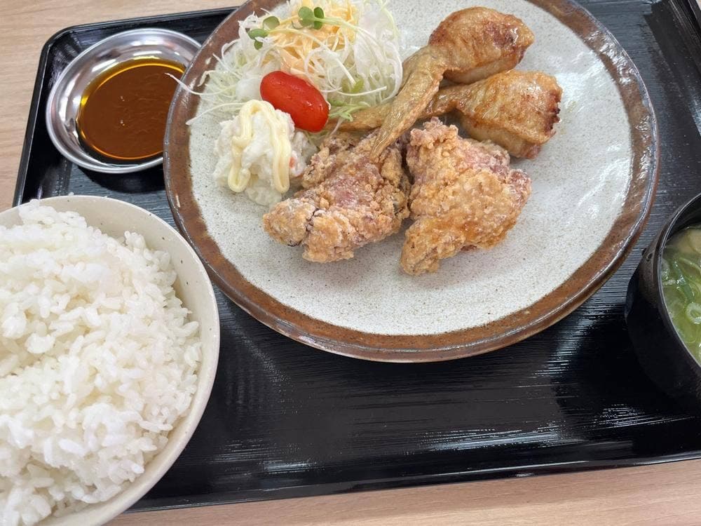 手羽先餃子たいが