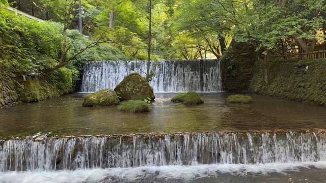貴船 水源の森 天山 - サブ画像1