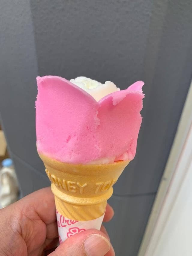 児玉冷果 - サブ画像1