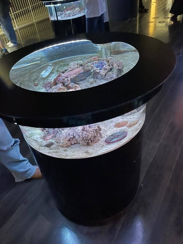 コーラルカフェバー アクアパーク品川 - サブ画像3