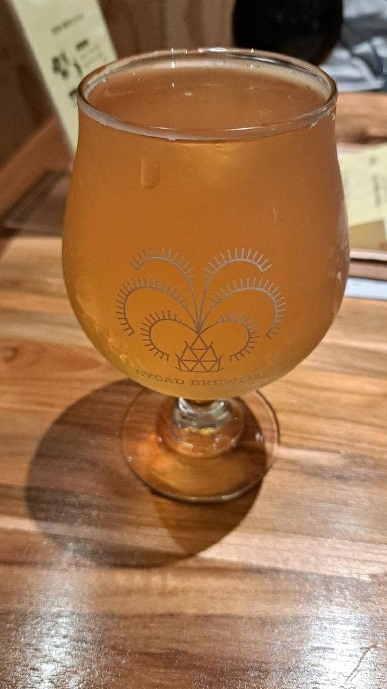 CYCAD BREWING
