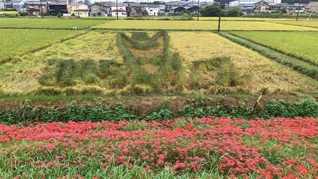 和製中華 ごいち326 - サブ画像1