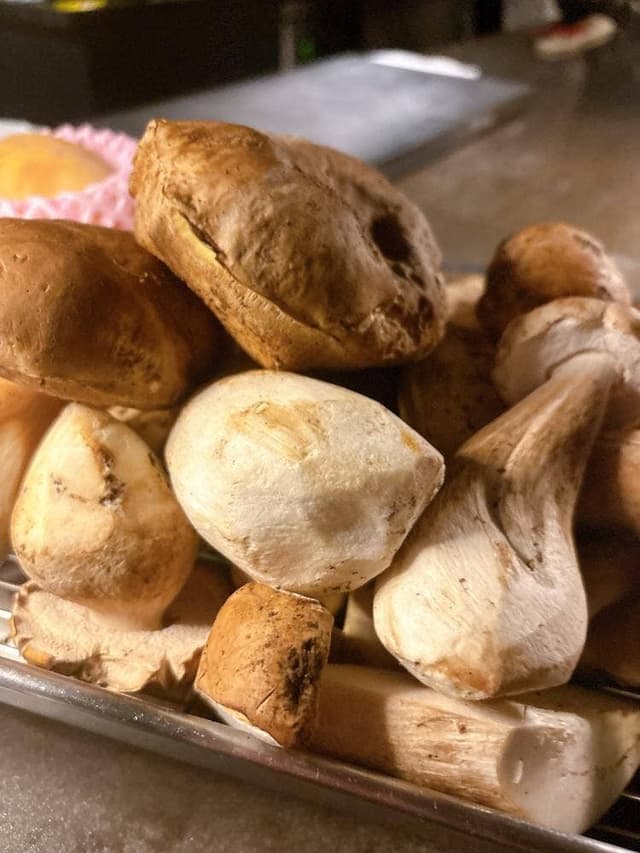 LITA - サブ画像3