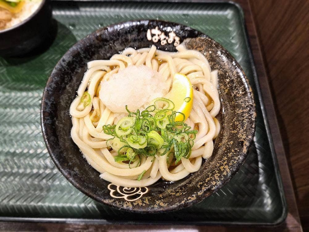 はなまるうどん イオンモールとなみ店