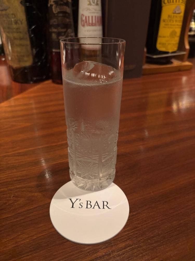 Y's BAR
