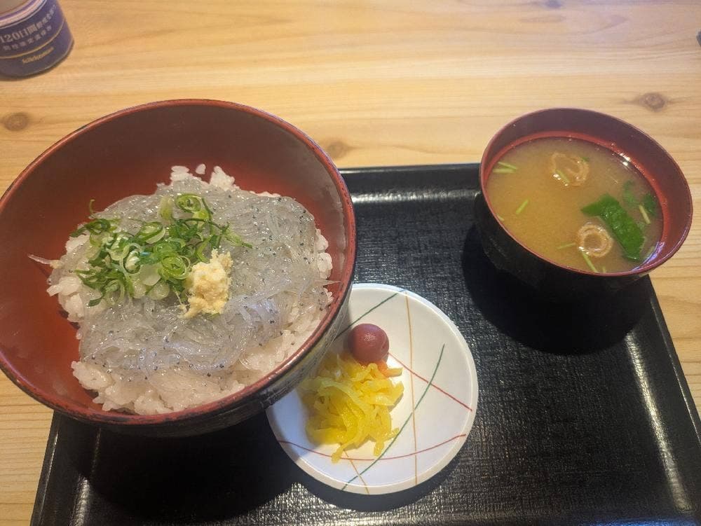 まるごと駿河湾