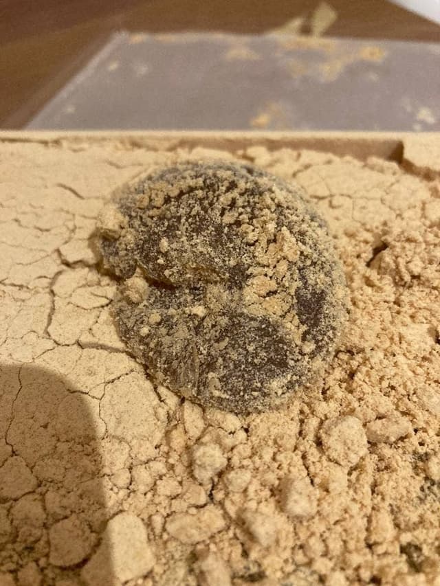 ツバメヤ 大名古屋ビルヂング店 - サブ画像2