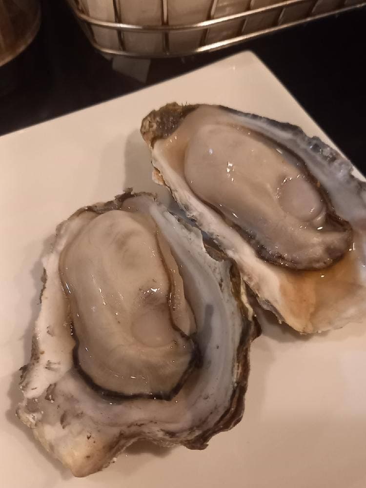 5坪 ススキノ店