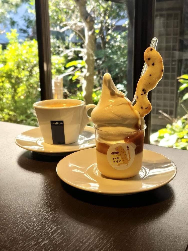 まるごと知多 チータープリン