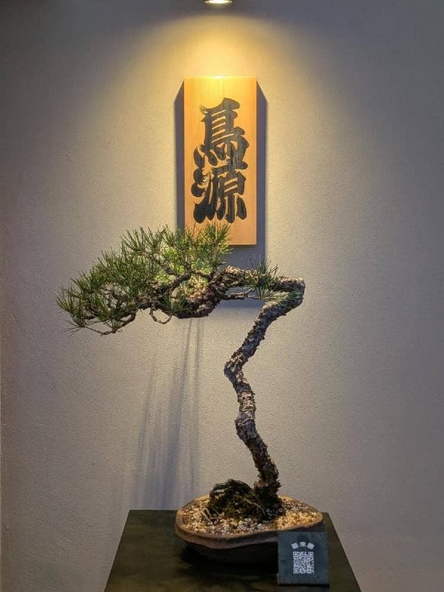 鳥源 豊中 - サブ画像1