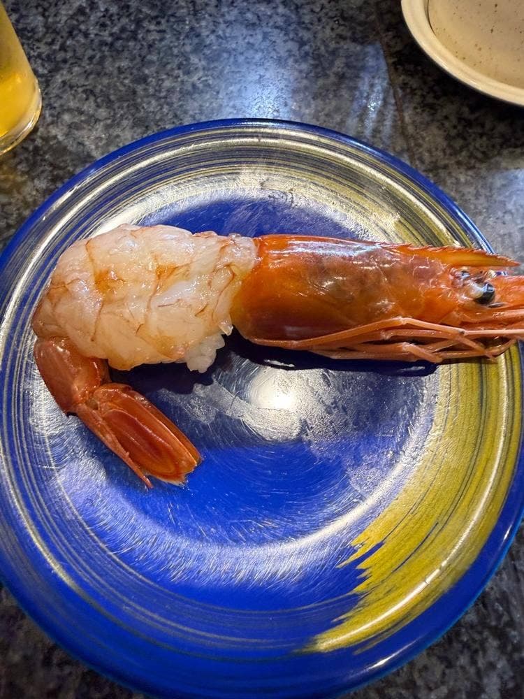 回転すし さかえ 阪急東通り店