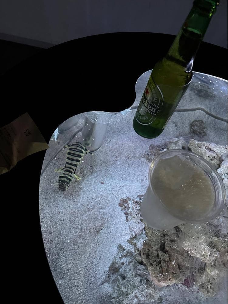 コーラルカフェバー アクアパーク品川