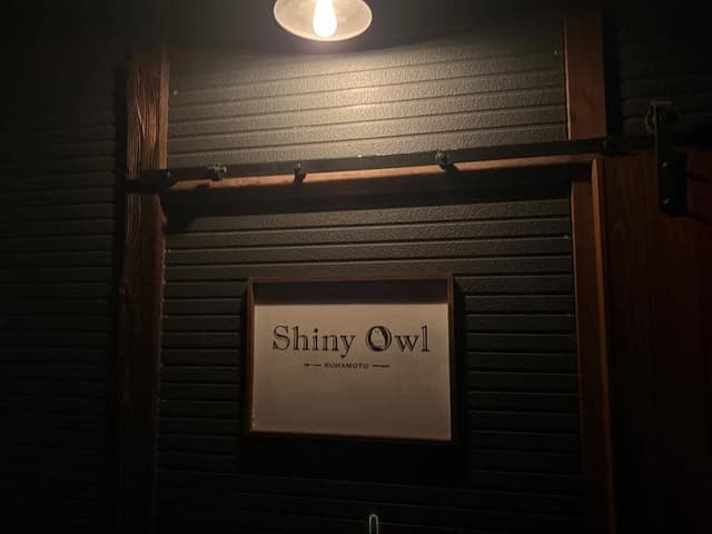 Shiny owl - サブ画像2