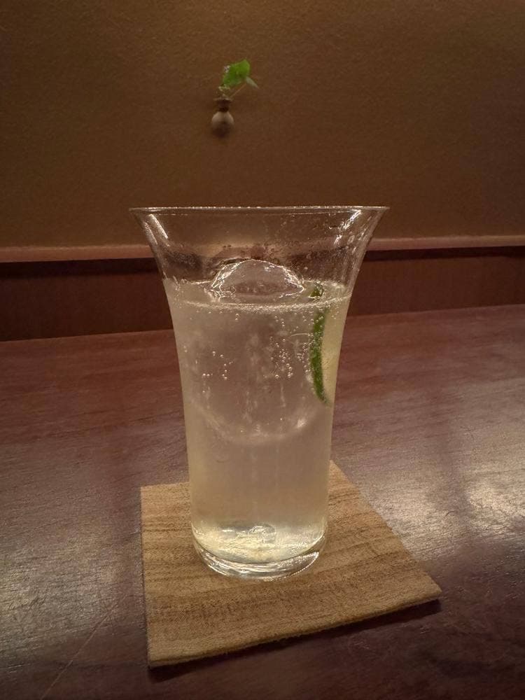 酒陶 柳野