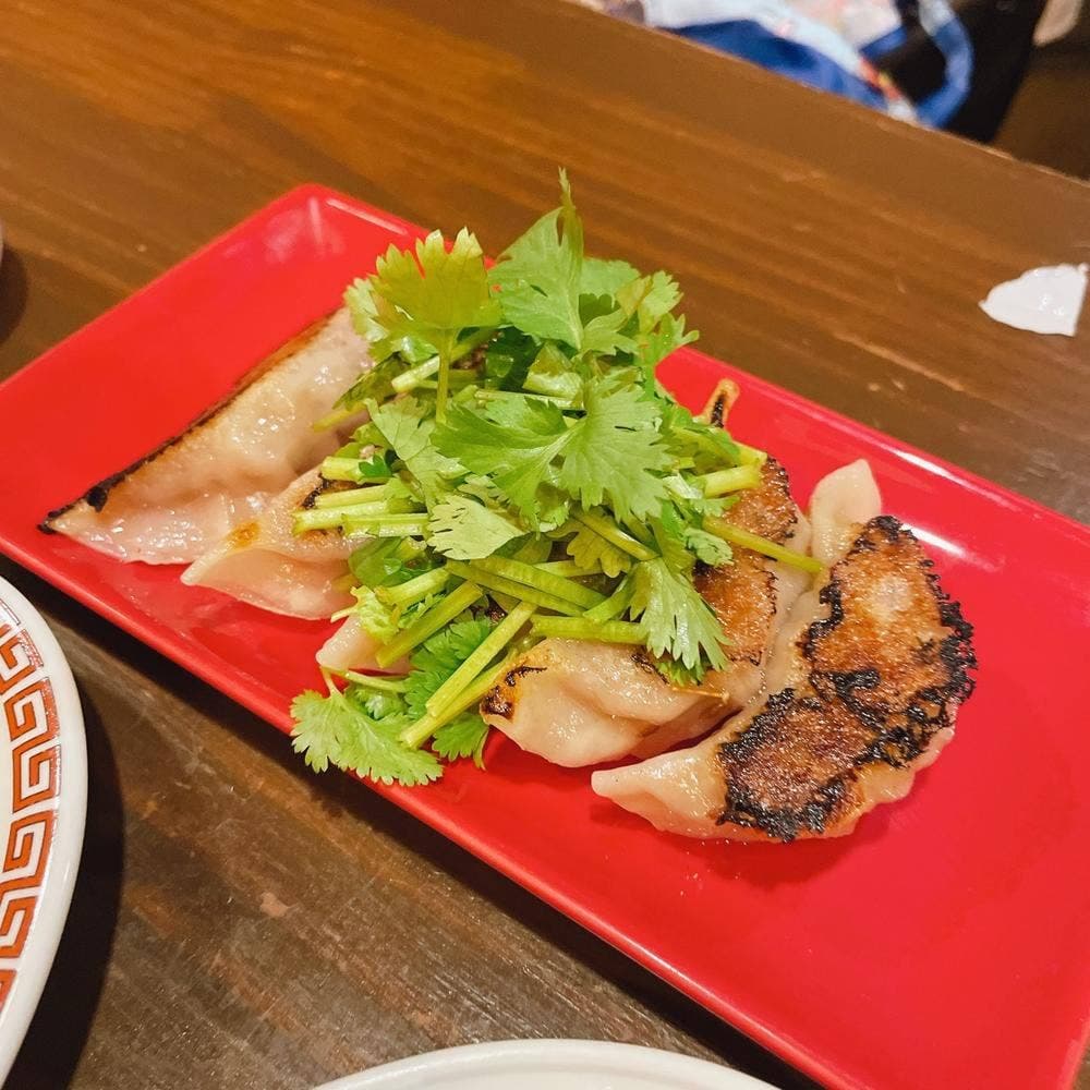 中野餃子 やまよし