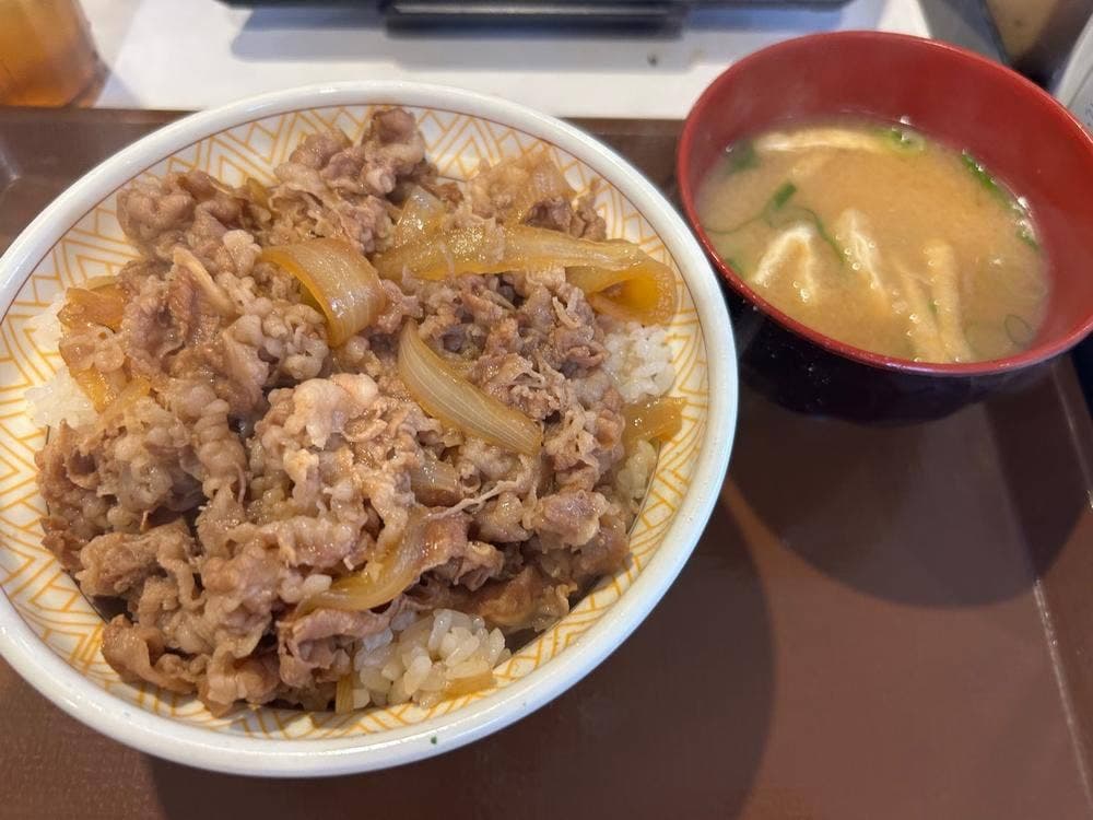 すき家 川崎藤崎店