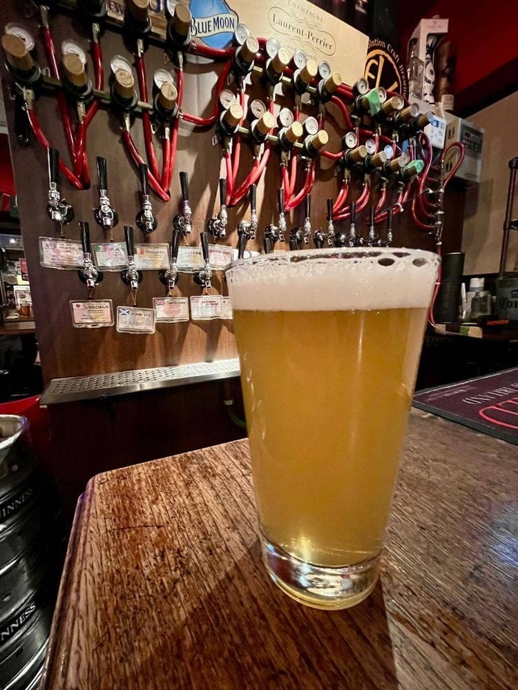 シャムロック バイ アボット チョイス