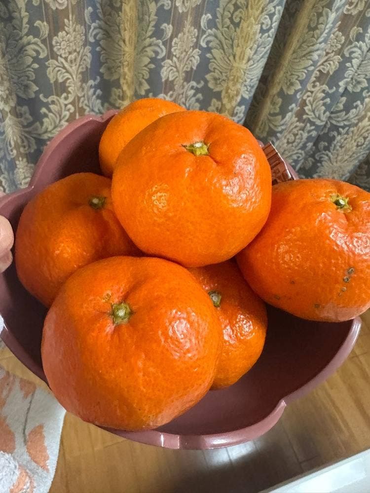 オレンジハウス