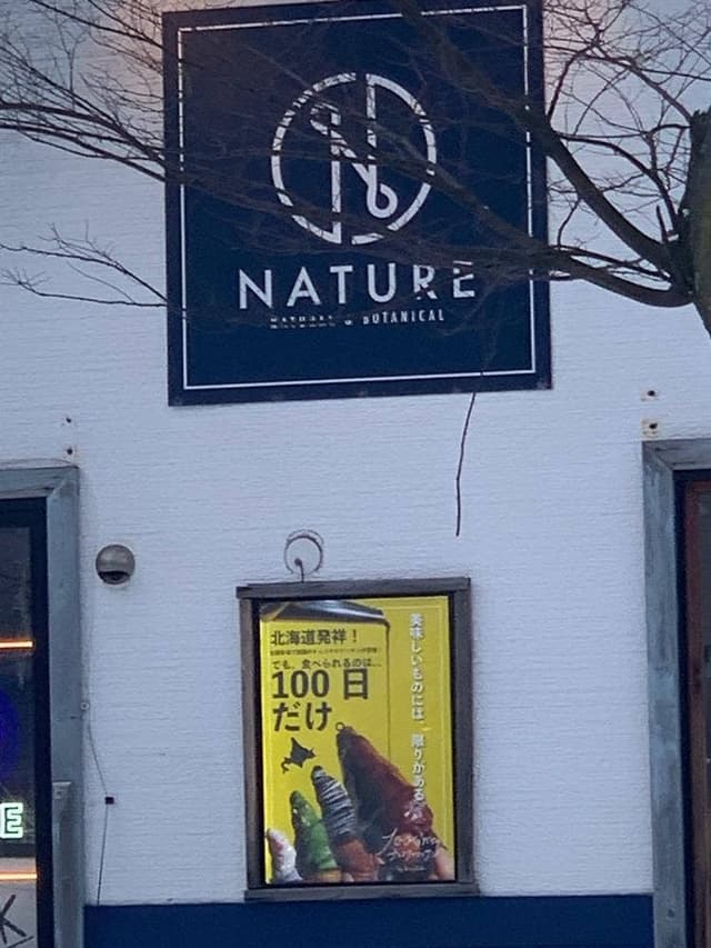 NATURE - サブ画像1