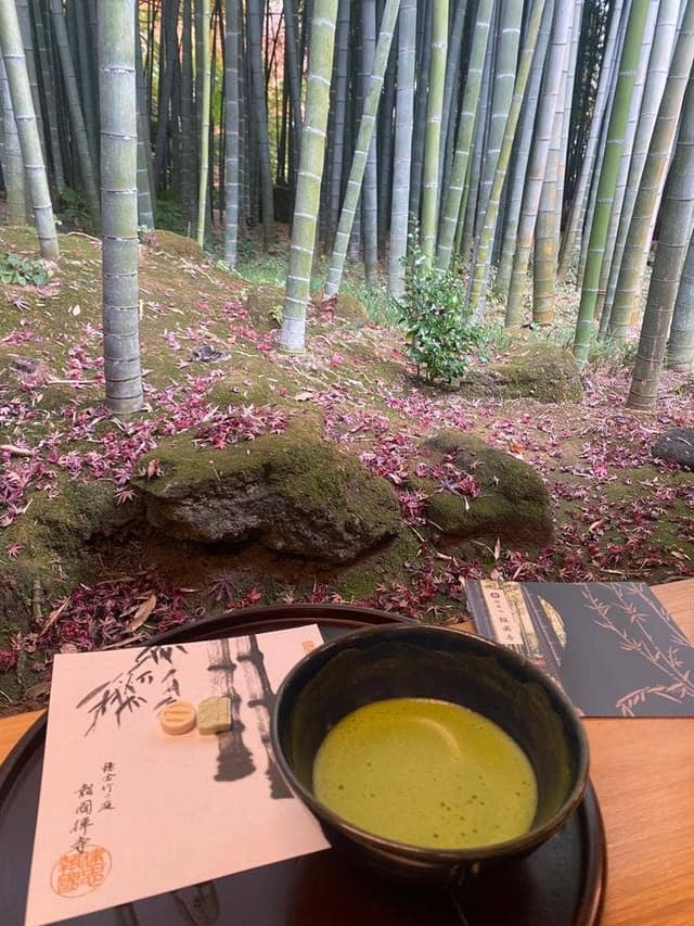 休耕庵 竹の庭の茶席 - サブ画像1