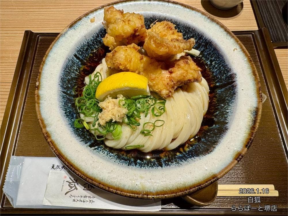 天然大海老天丼 自家製おうどん 白狐 ららぽーと堺店