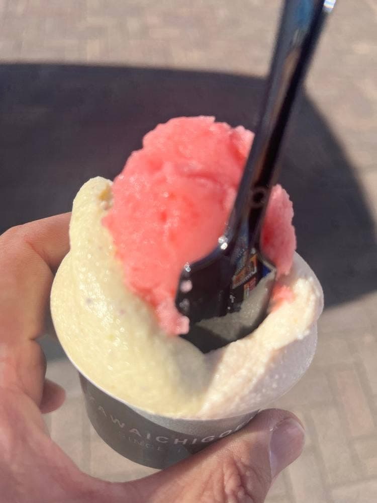 GELATERIA 伊澤いちご園 道の駅しもつけ店