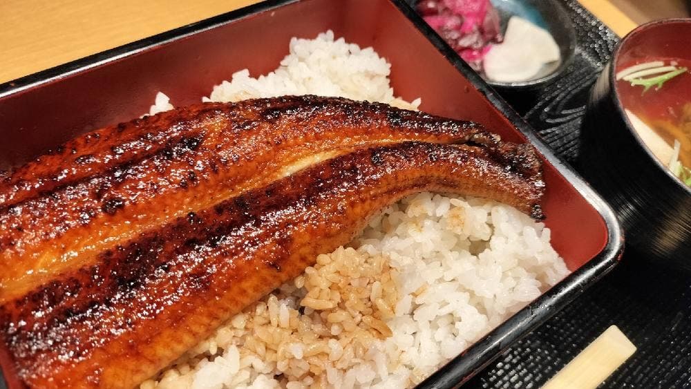 鰻 源内 三宮店