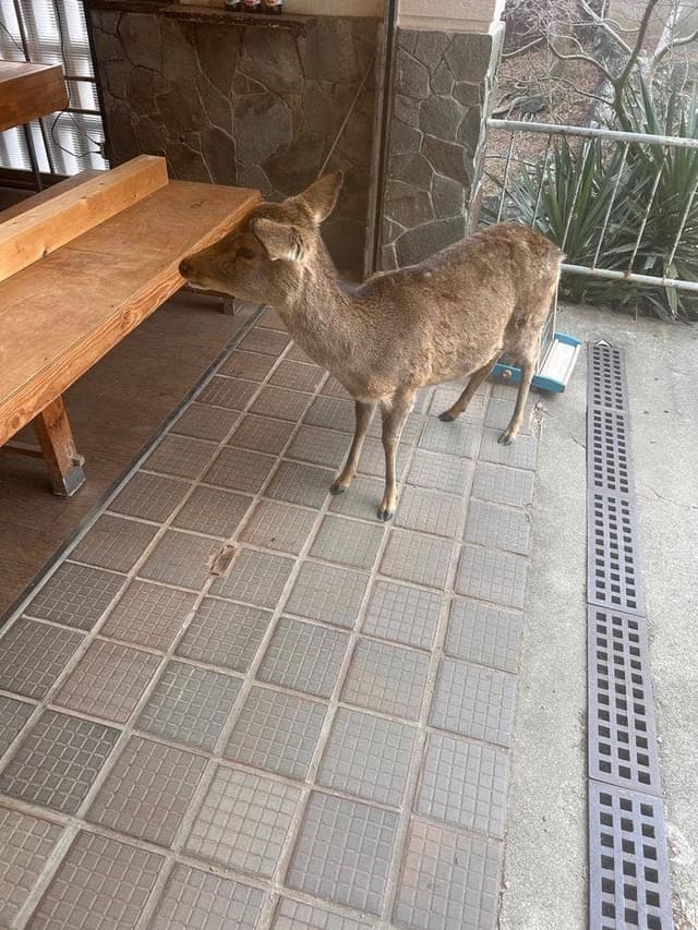 若草山パレット - サブ画像2