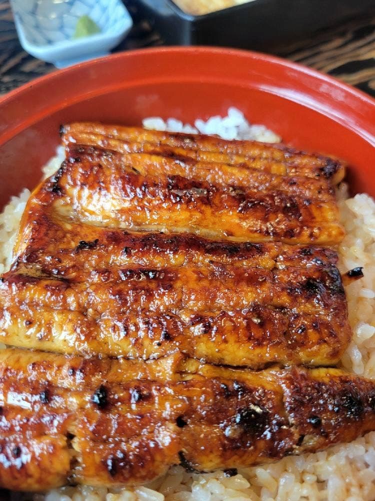 うなぎ釜めし藤田