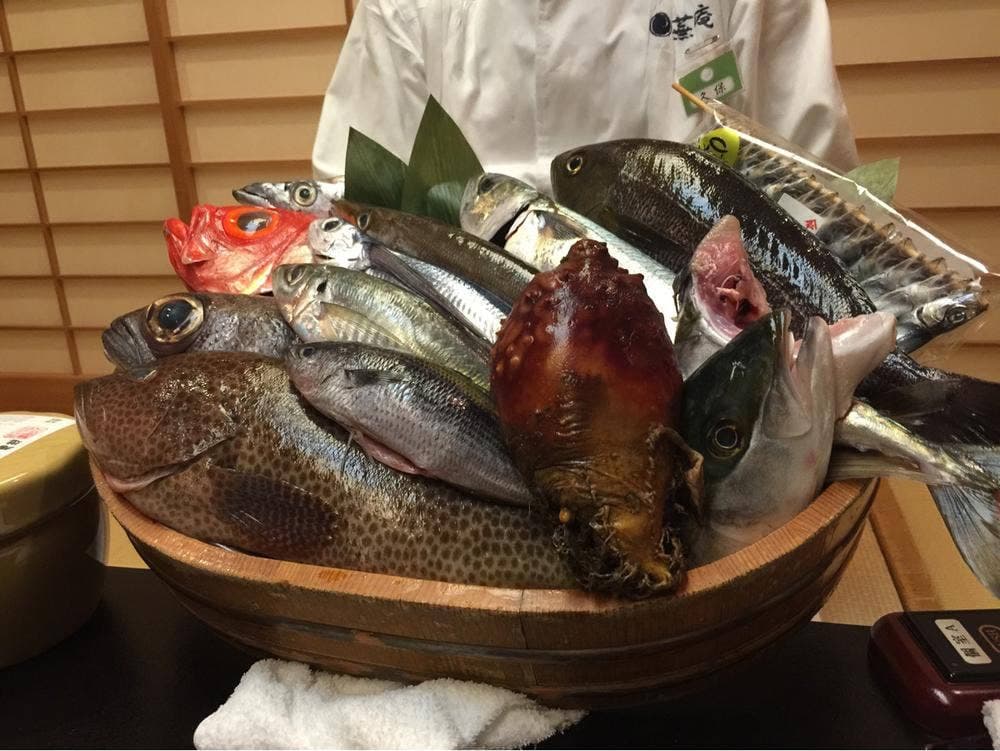 蕪庵