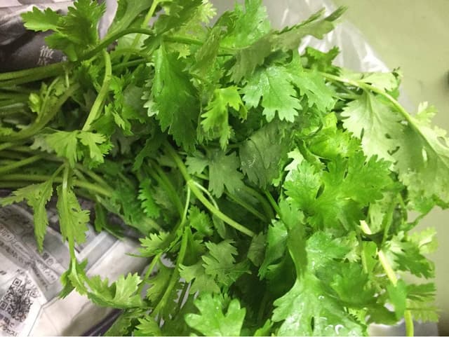 cafe Sama Sama - サブ画像1