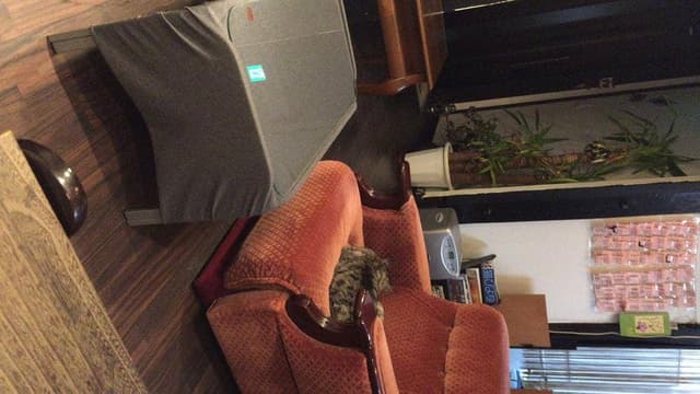喫茶 猫家 - サブ画像3