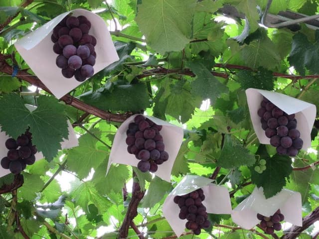 みゆき荘 - サブ画像2