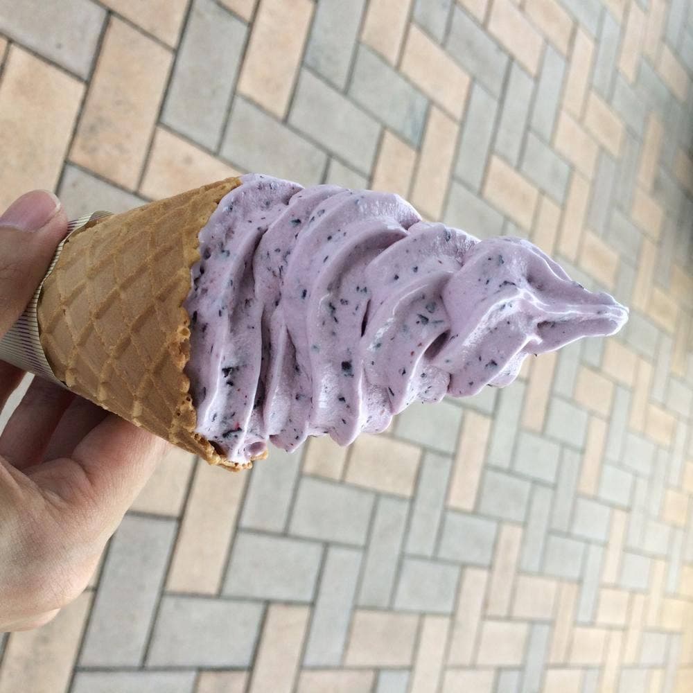 ブルーベリーの村