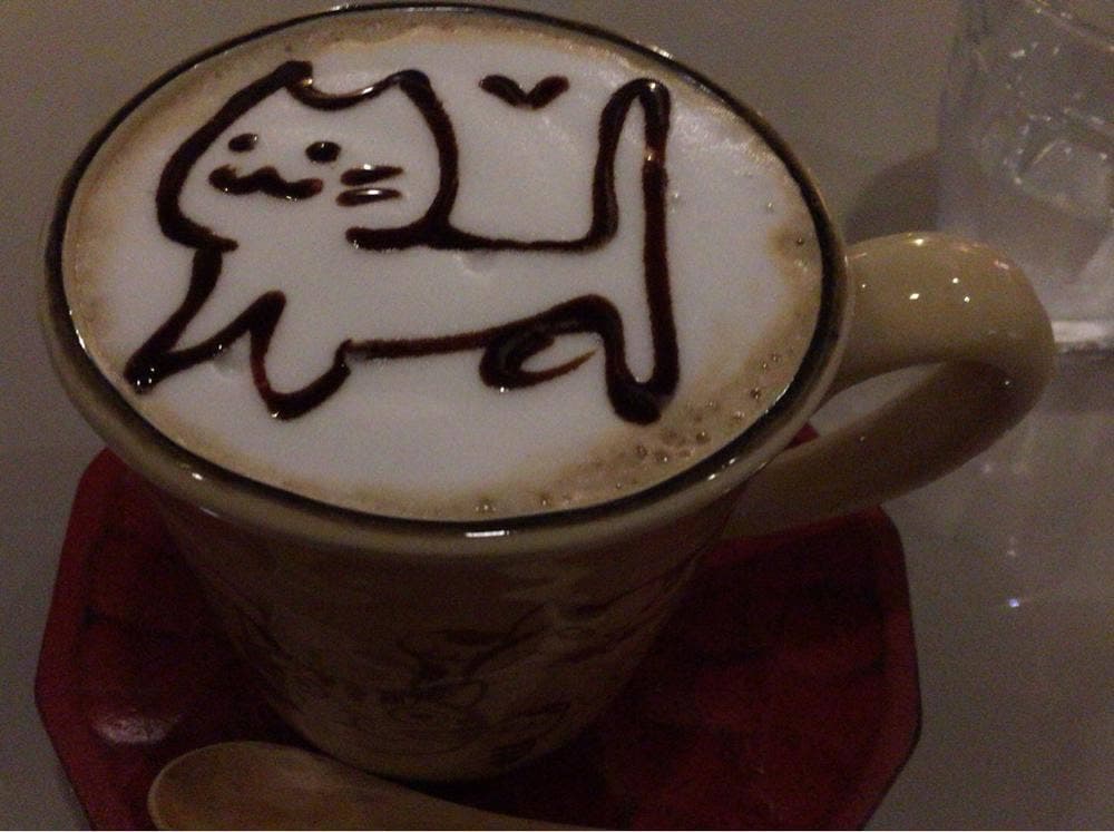 猫カフェなーごなーご