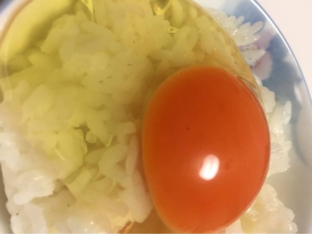 矢部養鶏場