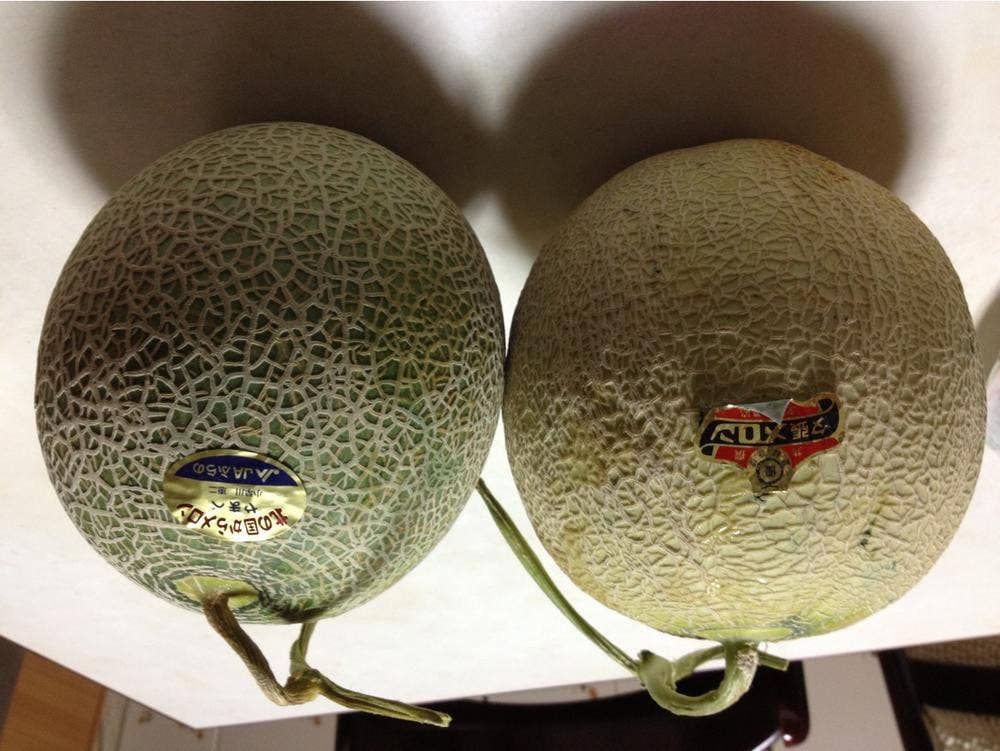 湯元白金温泉ホテル