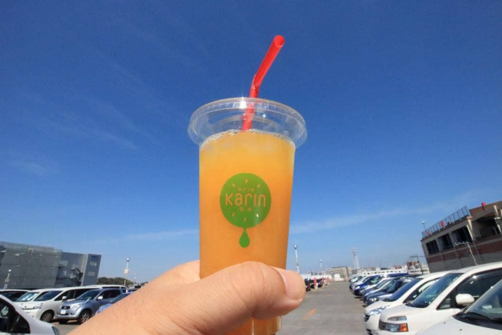 果汁工房 果琳 テラスモール湘南店