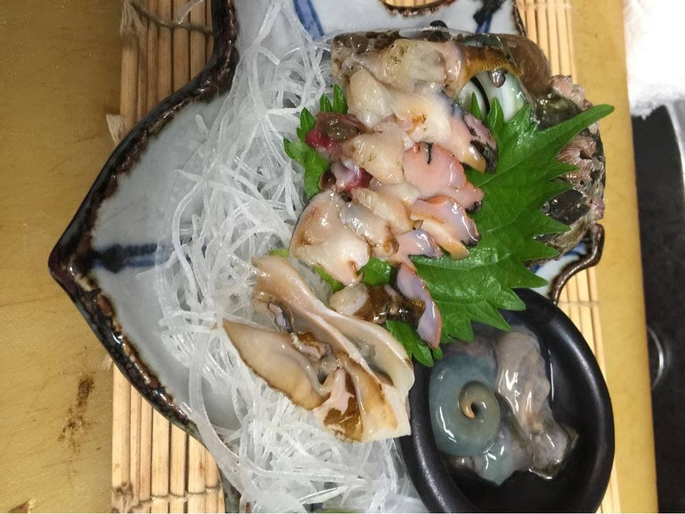 うさぎ