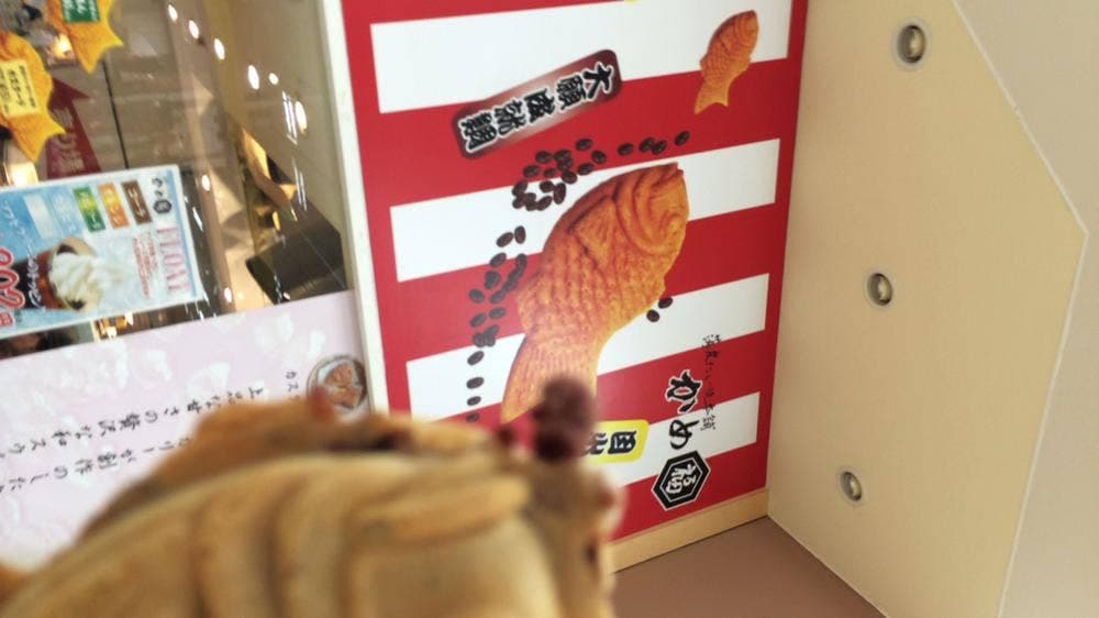 薄皮たい焼き本舗 かめ福 豊洲店