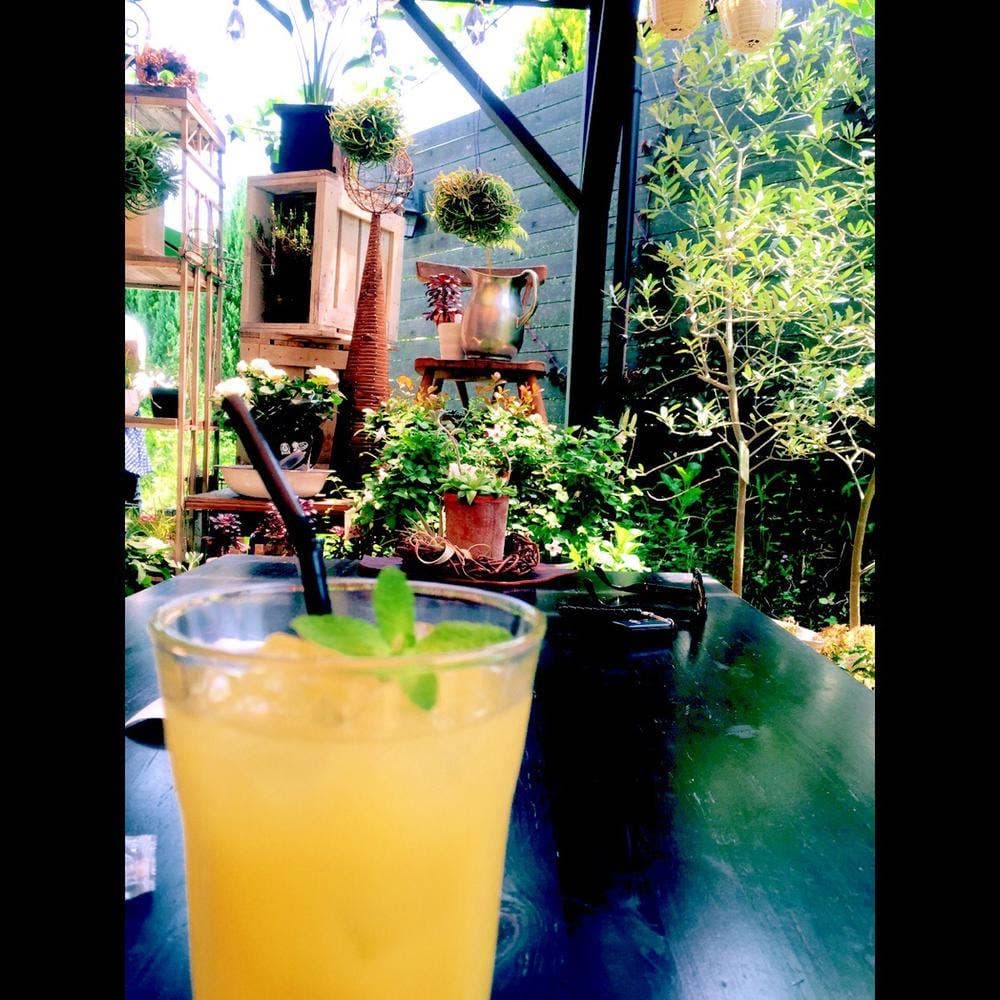 Flower and cafe 花空間 ivory