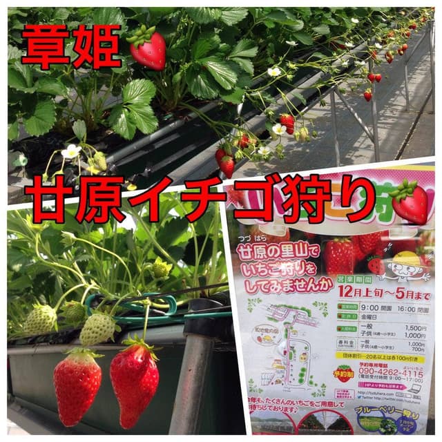 廿原ええのお - サブ画像1