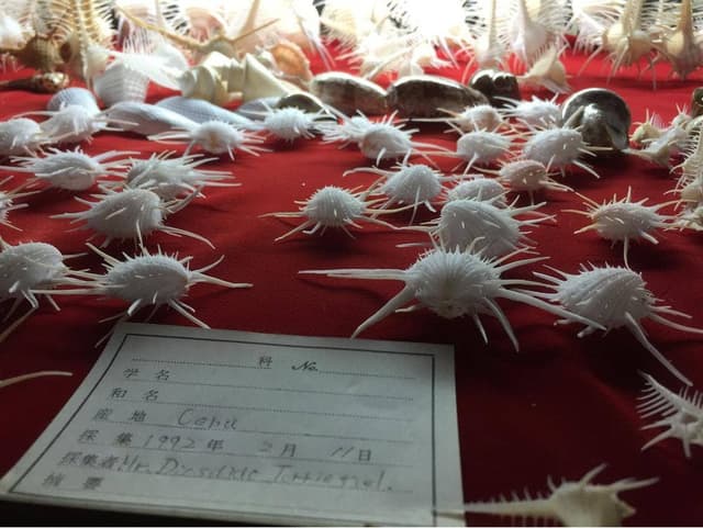 洋酒喫茶 貝の店 ロダン - サブ画像1