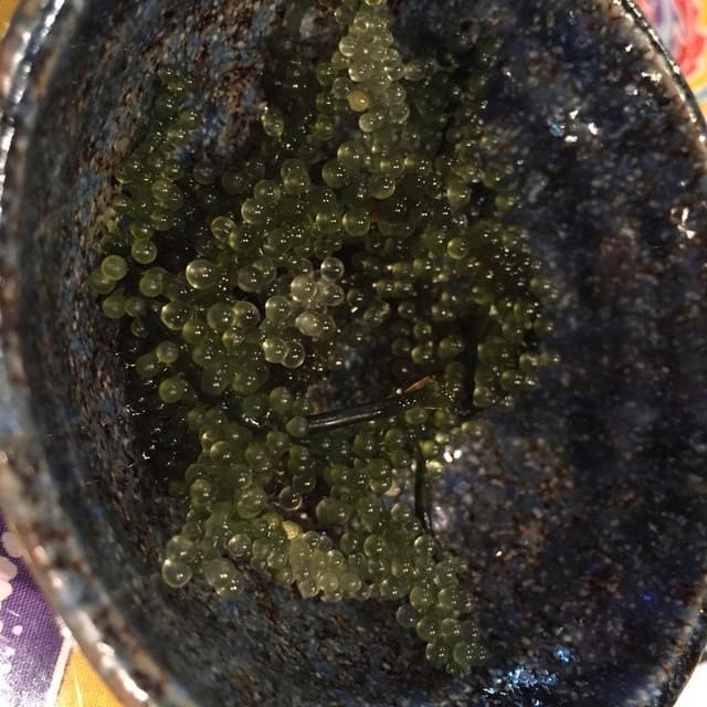 沖縄58酒場 - サブ画像3