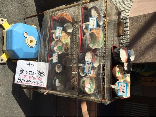 十勝そば つざわ - サブ画像3