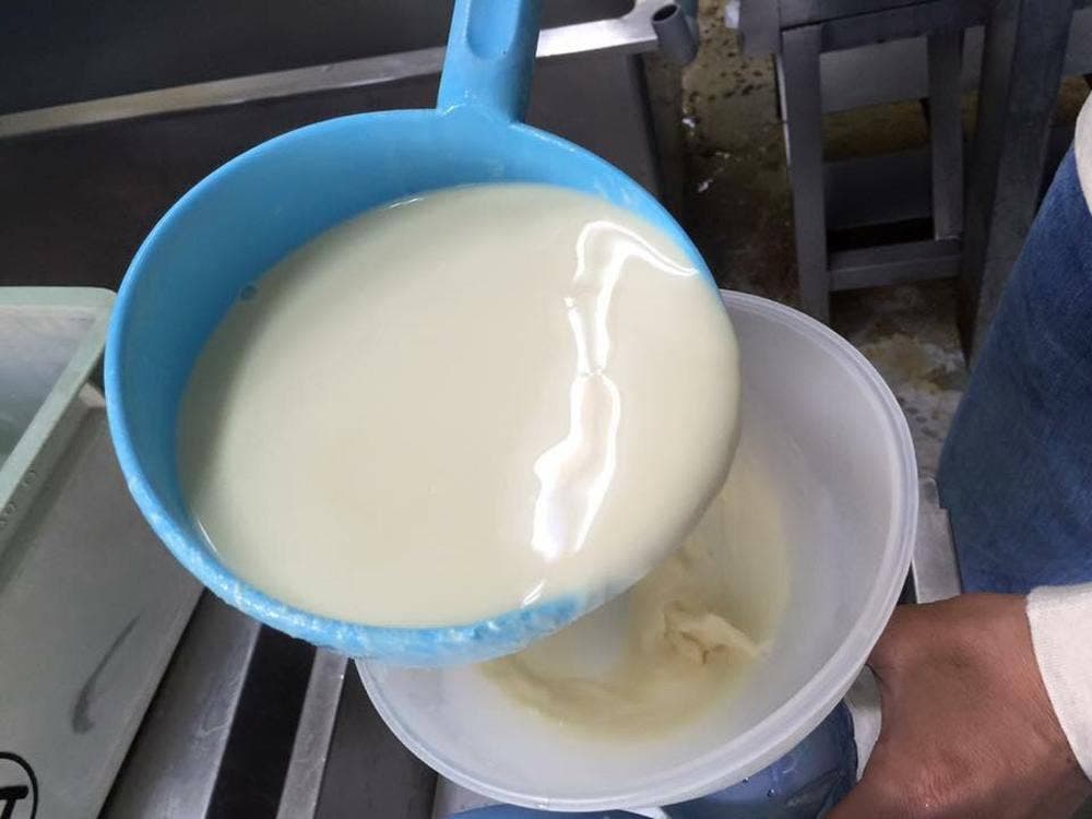 佛円豆腐店