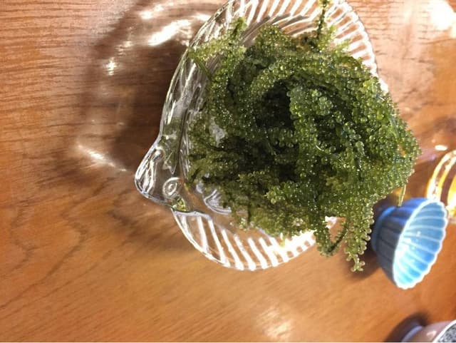 沖縄厨房 めんそーれ - サブ画像1