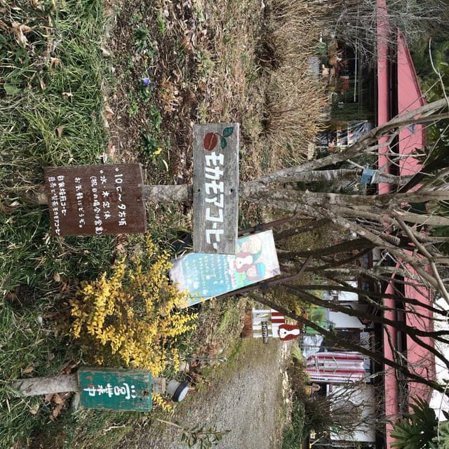 mochamorecoffee - サブ画像3