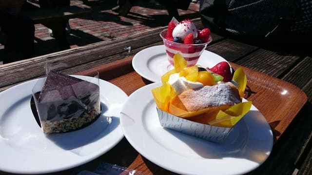 シャトレーゼ スキーリゾート八ヶ岳 - サブ画像1