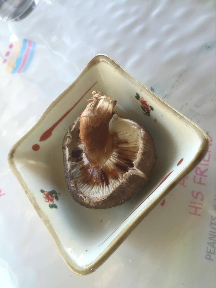 民宿&喫茶カフェ お茶屋大阪